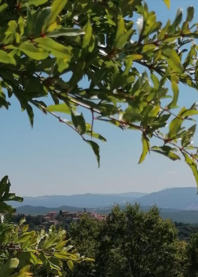 Beautiful Apartment With Exclusive Garden And Terrace Monteverdi Marittimo Εξωτερικό φωτογραφία